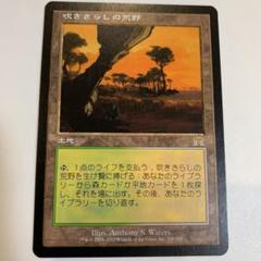 MTG 日本語 オンスロート 吹きさらしの荒野 FOIL)吹きさらしの荒野/Windswept Heath(KTK)(日本語)※状態NM