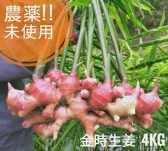 専用出品　農薬未使用　金時生姜2kgとひね生姜2kg 専用出品です 農薬未使用 金時生姜 ひね生姜2kgずつ - メルカリ