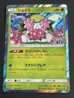 ポケモンセンター 20周年 抽選販売 ポストカードセット 未開封 未開封 ポケモンセンター 20周年記念 プレミアムポストカード