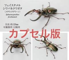 いきもの大図鑑　くわがた　フェイスタメルシワバネクワガタ　ガチャ　カプセル版