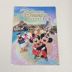 新品】【未開封】東京ディズニーリゾート A4クリアファイル