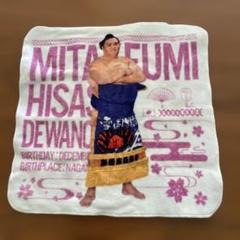 大相撲 国技館 ガチャ ガチャガチャ クレーンゲーム 正代 遠藤 3点セット 大相撲ガチャ 遠藤関 アクリルスタンド 新品（日本相撲協会公式