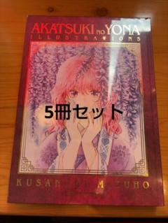 ■新品未開封■ 暁のヨナ 大原画展　画集　イラスト集　図録 貴重な原画が220点以上！「暁のヨナ」史上最大規模の原画展