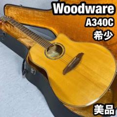 伏兎様専用 Fernandes Woodware A340C ギター - メルカリ