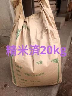 2025年最新】くず米 20kgの人気アイテム - メルカリ