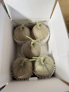 ふなぷー　アンデスメロン　4L5個5L4個セット　贈答用 ふなぷー様専用 アンデスメロン 4L5個5L4個セット 贈答用 - メルカリ