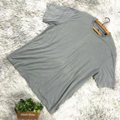 【TOMMY BAHAMA】トミーバハマ ロゴ刺繍Tシャツ(XL)スカイグレー