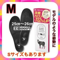 KAMOSHIKA SOLE カモシカインソール Sサイズ KAMOSHIKA SOLE カモシカソール インソール (Sサイズ)｜Yahoo