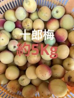 農家が無農薬で栽培　梅7.7キロ　箱込み　梅の実　うめ 農家が無農薬で栽培 梅の実 7キロ - メルカリ