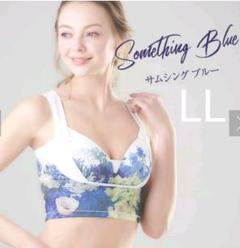新品未開封 DRMETHOD Cellebra セレブラ ナイトブラ LL