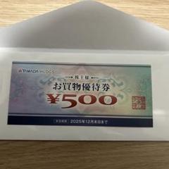 ヤマダホールディングス 500円株主優待券のサムネイル