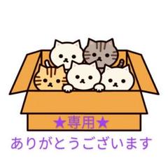 ★専用★ワンタッチサンシェード misty island 山善 テント