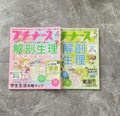 プチナースシリーズ　4冊セット プチナース 2024年4月号 - 照林社