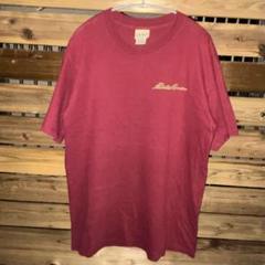 90s usa製 Eddie Bauer エディーバウアー Tシャツ ビックロゴ
