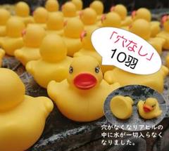 5羽のみ発送≪B級品≫ 穴なし あひる 10羽セット 個数変更可能 定