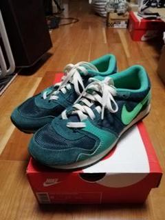 NIKE スニーカー 25.0cm