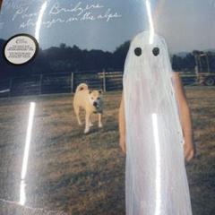 【新品未開封】Phoebe Bridgers Stranger in...