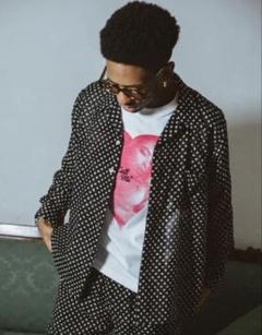 新品 A PUZZLING HOME SHEER FUR SHIRTS DOTのサムネイル