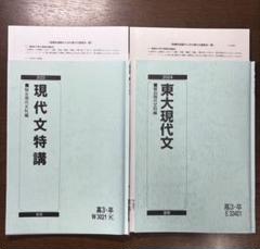駿台 現代文特講 中野芳樹 駿台 現代文特講2023 東大現代文2024 夏期講習 中野芳樹 - メルカリ