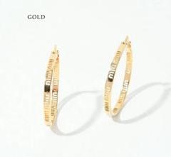 MIU MIU ミュウミュウ アクセサリー ピアス ロゴ フープピアス