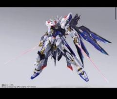 メタルビルド ストライクフリーダムガンダム FESTIVAL 2024 光の