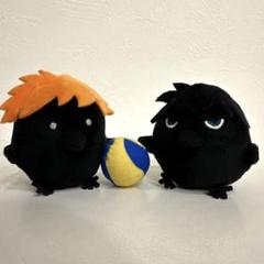 ハイキュー‼︎ ヒナガラス&カゲガラス 日向 影山 ぬいぐるみ