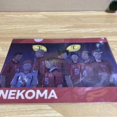 非売品 ハイキュー!! FLY HIGH カード クリアファイル 非売品 ハイキュー!! FLY HIGH カード クリアファイル