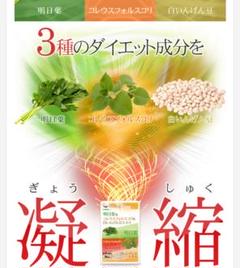 溜めない×燃やす×誘惑カット♪明日葉 コレウスフォルスコリ 白いんげん豆サプリ