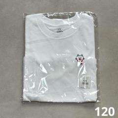【新品・未開封】ニコル キッズT BUMP ホワイト 白 120 半袖 刺繍
