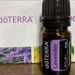 ドテラ ラベンダー 5ml 楽天市場】ドテラ ラベンダー お試しサイズ 5ml ドテラ アロマ