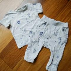 セットアップ 74 トップス パンツ 2枚セット