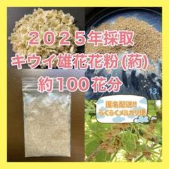 10g】純花粉 キウイフルーツ 花粉 雄花 日本製 - メルカリ