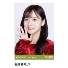 2025年最新】乃木坂 生写真 金川の人気アイテム - メルカリ