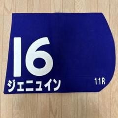 期間限定出品　超貴重品　［ Ｇ１実使用　ゼッケン　］ジェニュイン　JRA 競馬