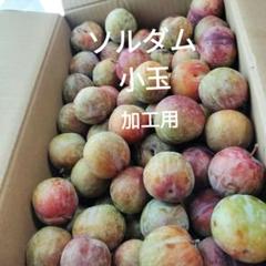ソルダム箱込み4.1キロ　小玉のみのサムネイル