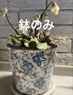 お値下げ❣️ヴィンテージ木製菊型火鉢鉢カバーなどに観葉植物を