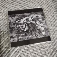 【SOPHIA】獅子に翼Ⅴ 特典　ロードキャメロット SOPHIA 獅子に翼V ETERNALシート ロードキャメロット おまけ付き