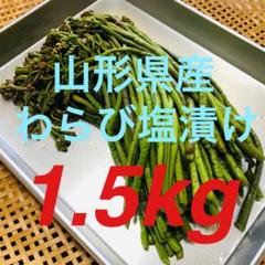 山形県産わらび塩漬け1.5kg 6/26発送 - メルカリ