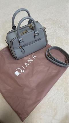 D.IANA ハンドバッグ 新品未使用 2025年最新】DIANA ハンドバッグの人気アイテム - メルカリ