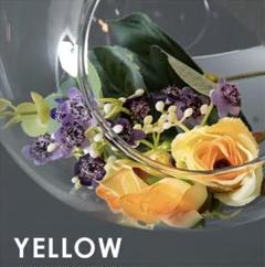 「新品　未使用」botanic ペンダントライトをお譲りいたします。