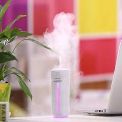 加湿器 卓上 小型 超音波式 車載加湿器 空気浄化機 乾燥対策