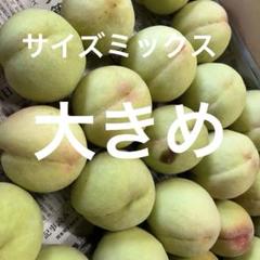 3.摘果桃 加工用 箱込み10kg - メルカリ