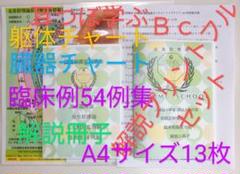 パリコレクション Bc:耳つぼ学ぶ：耳臨床54例集+臓器/躯体ラミネート+解説冊子 健康・医学