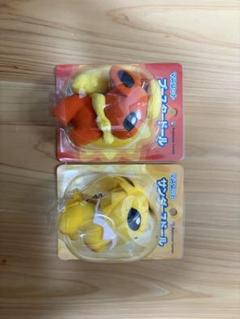 ポケモンドール　サンダース　ブースター　ブイズ