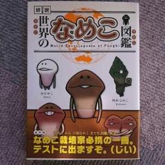 2025年最新】しなめこ図鑑の人気アイテム - メルカリ