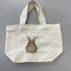 刺繍トートバッグ　お散歩バック　うさぎ