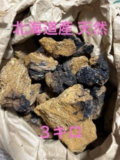 北海道産 天然 カバノアナタケ 3キロ - メルカリ