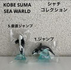 【新品】神戸須磨シーワールド シャチ蓄光骨格クッション　ぬいぐるみ　黒　計1個 新品】須磨シーワールド シャチ イルカ 蓄光骨格クッション