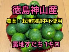 露地スダチ(二級品) 箱込み5kg 露地スダチ(二級品) 箱込み5kg - メルカリ