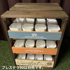 2025年最新】多肉植物トレイ棚の人気アイテム - メルカリ